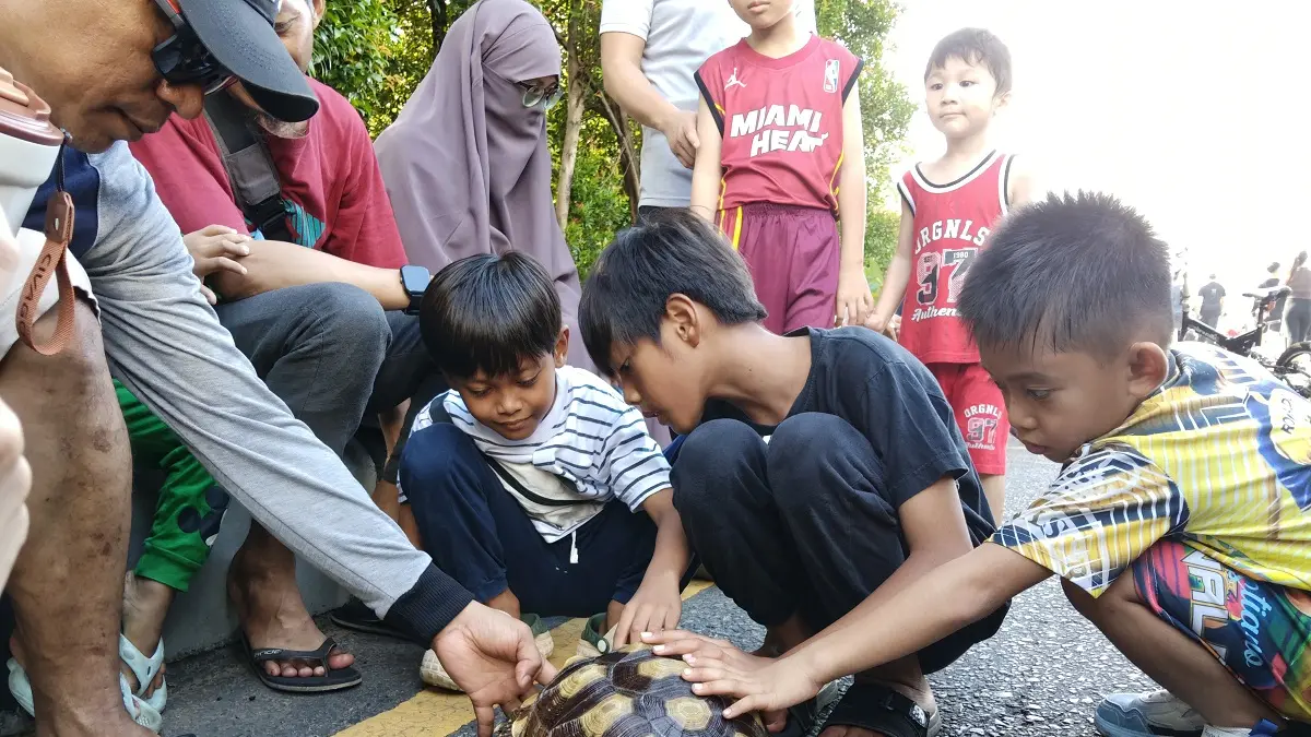 PENASARAN: Anak-anak memperhatikan seekor kura-kura yang dihadirkan oleh komunitas Independent Exotic Pets di kawasan Car Free Day (CFD) Pontianak. (HARYADI/PONTIANAKPOST)