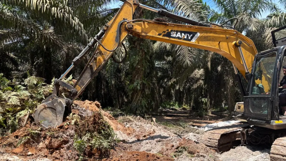 Sinergi PLN, pemerintah daerah, dan perusahaan dalam memperluas akses dan pembangunan infrastruktur.