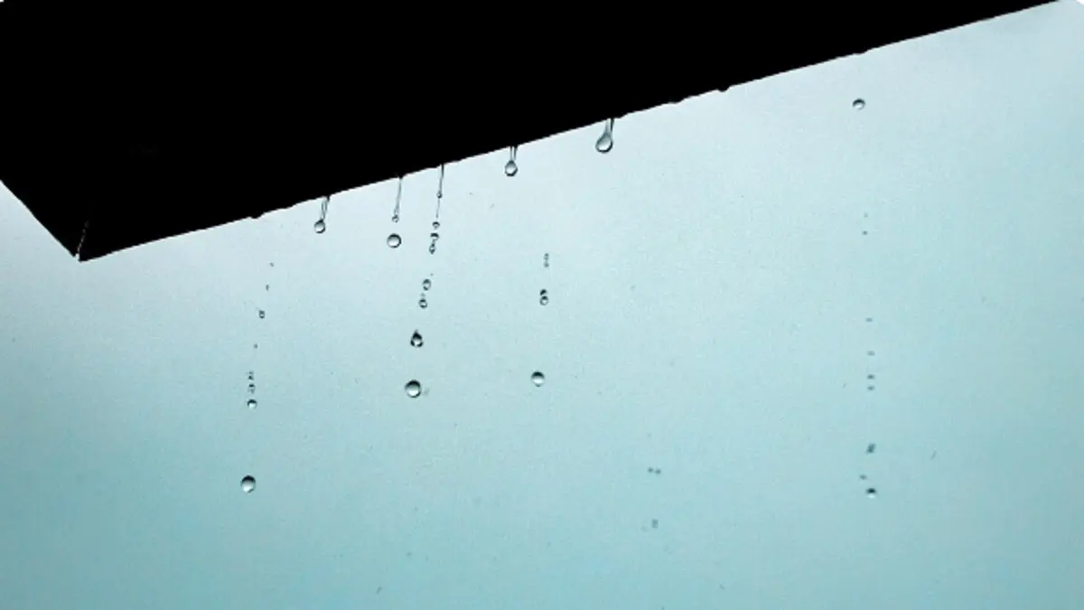 Ilustrasi hujan (FREEPIK/@wirestock)