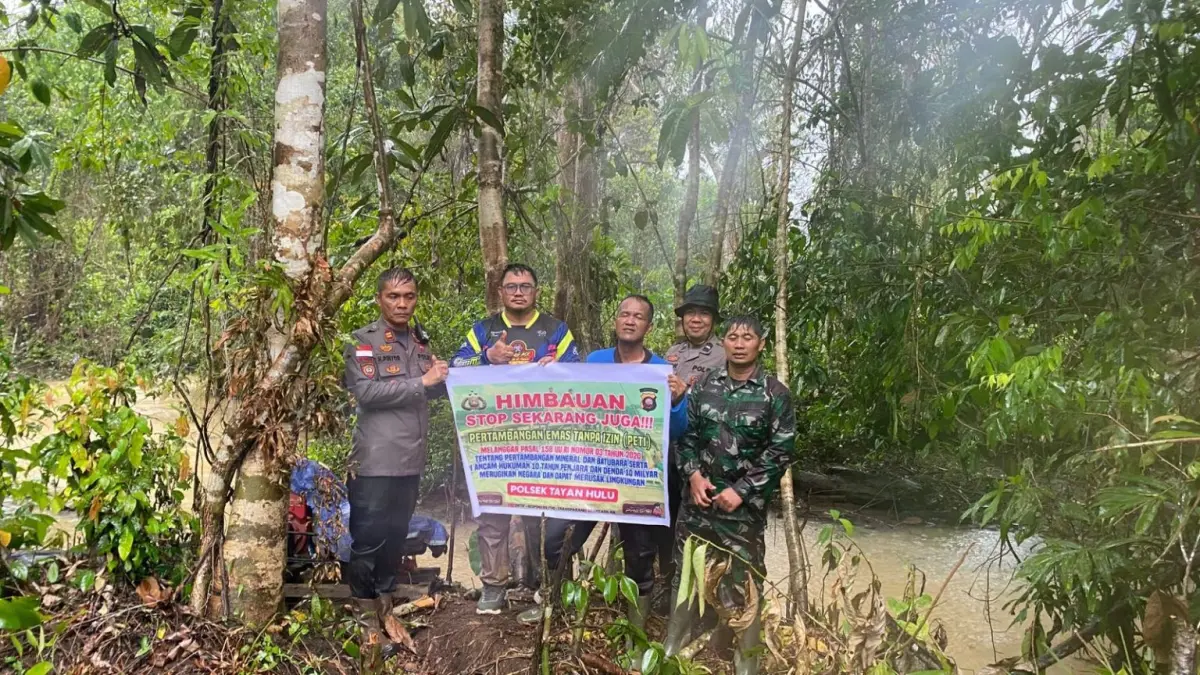 TERTIBKAN: Kepolisian Sektor (Polsek) Tayan Hulu menertibkan aktivitas pertambangan emas tanpa izin (PETI) di Desa Janjang, Kecamatan Tayan Hulu, Kabupaten Sanggau, Rabu (15/4).