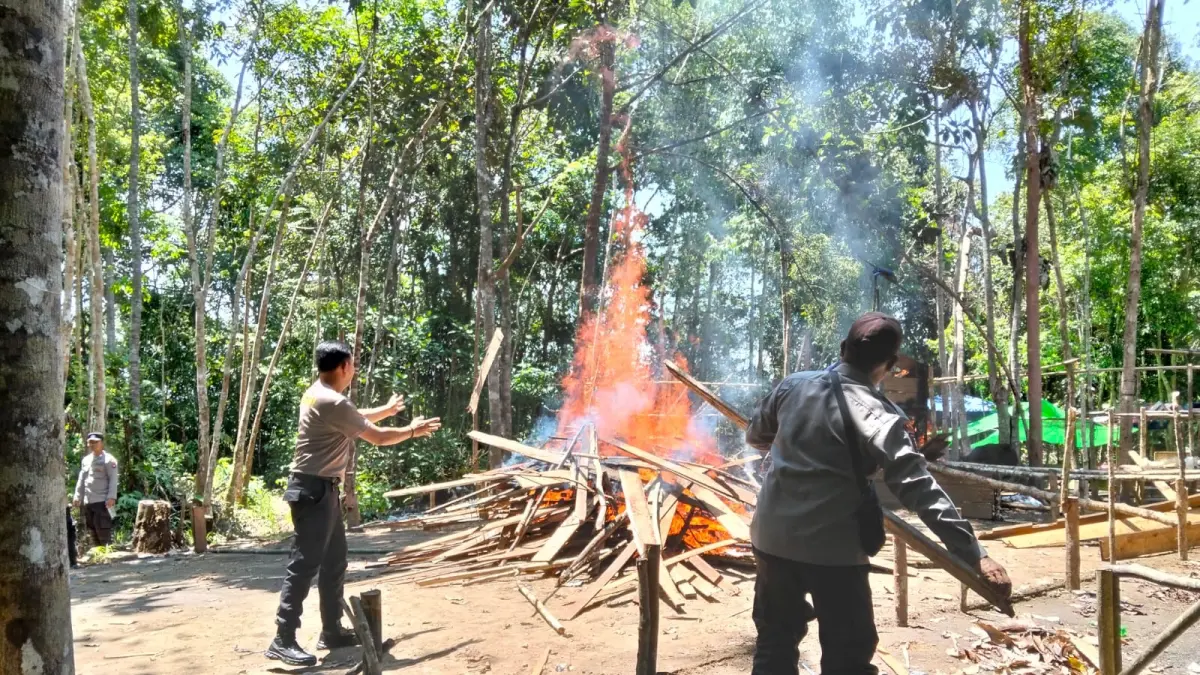 Aparat polisi membongkar dan membakar arena sabung ayam di Dusun Keranji, Desa Rumbih, Kecamatan Silat Hilir. (ISTIMEWA)