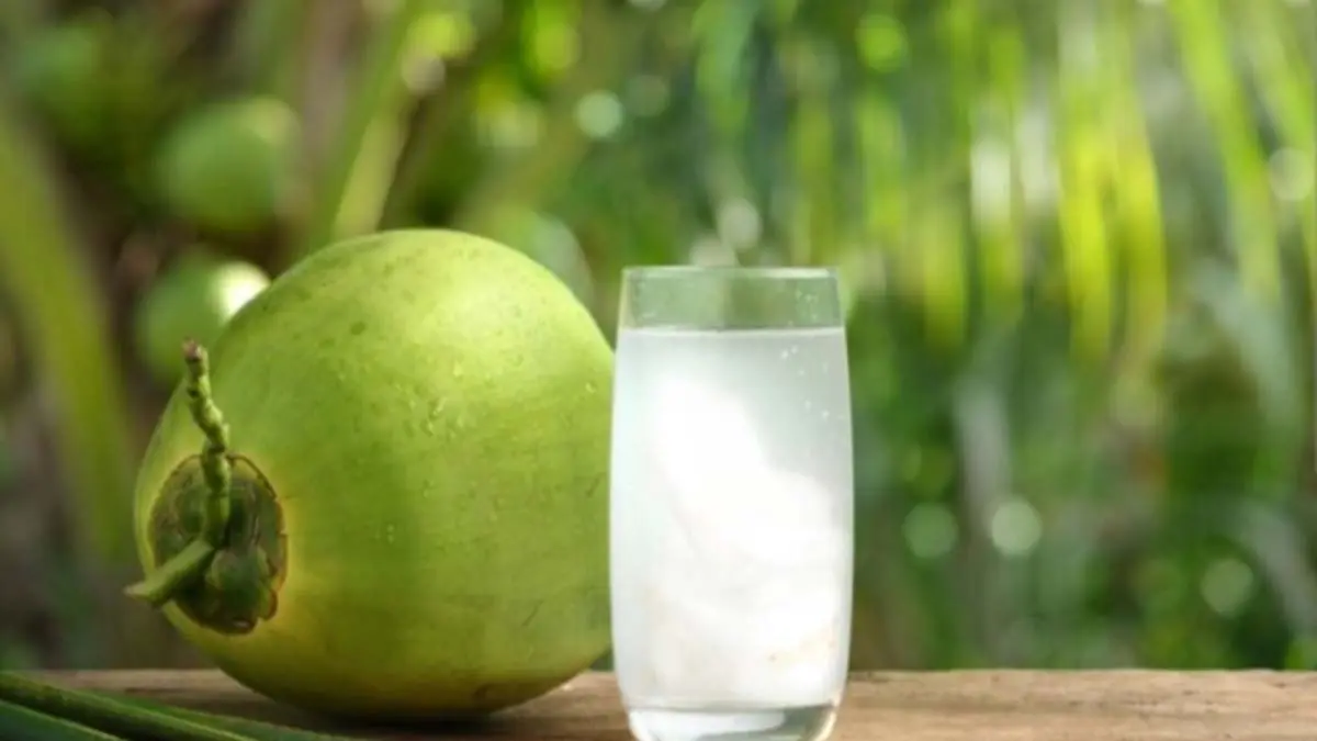 Ilustrasi air kelapa (DOK JAWAPOS)