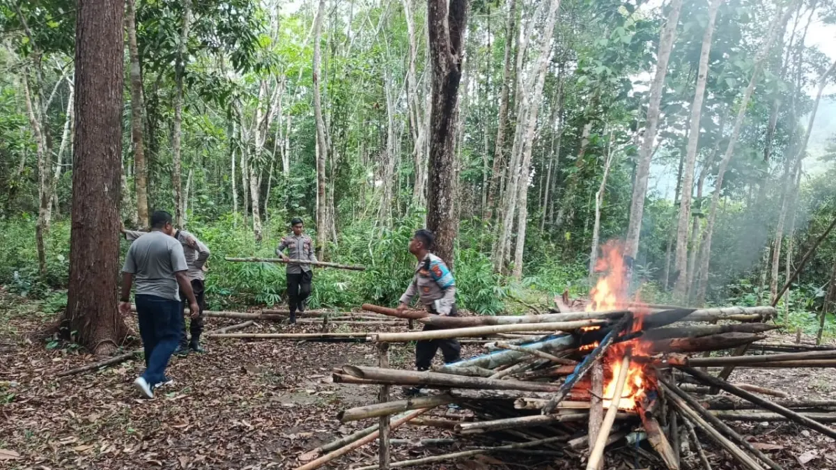  Arena sabung ayam yang tersembunyi di tengah hutan Dusun Sebalang, Desa Pala Kota, Kecamatan Seberuang yang dibakar polisi. (ISTIMEWA)