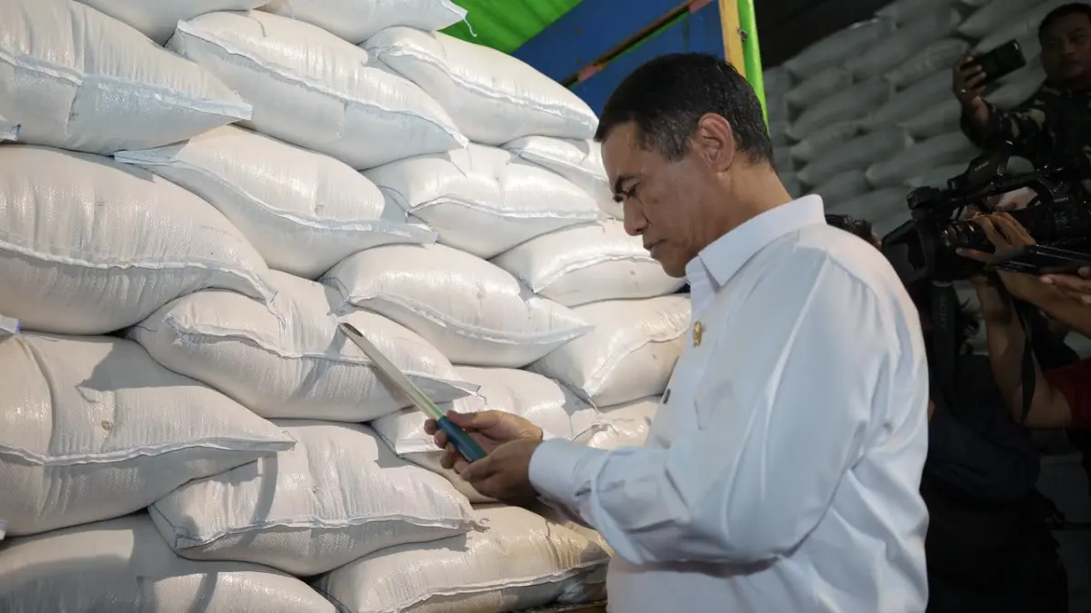 Mentan Amran saat melihat stok beras di gudang.