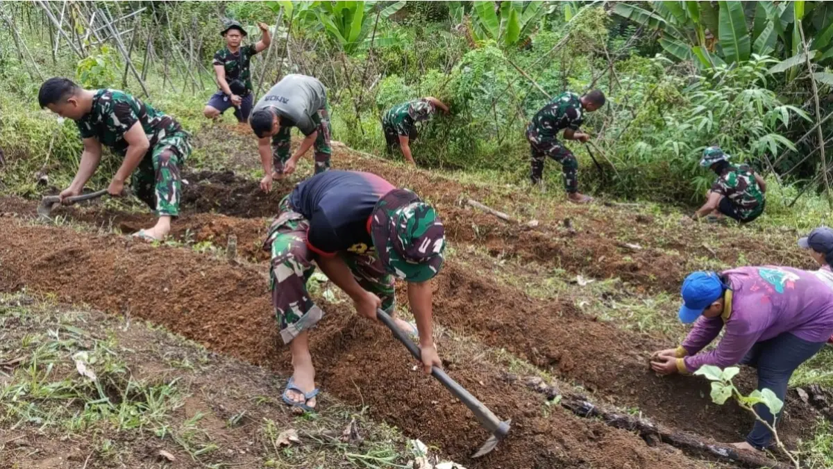 Personel Satgas TMMD ke-128 Kodim 1204/Sanggau melaksanakan penanaman cabai dan terong bersama warga Dusun Onggok, Kabupaten Sanggau. (DOK SATGAS TMMD)