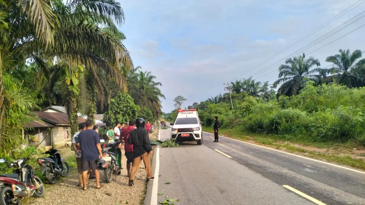 Petugas kepolisian melakukan olah TKP di lokasi tabrak lari yang menewaskan pejalan kaki di Parindu, Sanggau.
