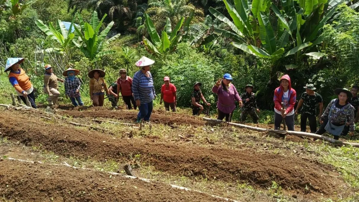 Satgas TMMD ke-128 Kodim 1204/Sanggau bersama warga menanam cabai dan terong di Dusun Onggok.