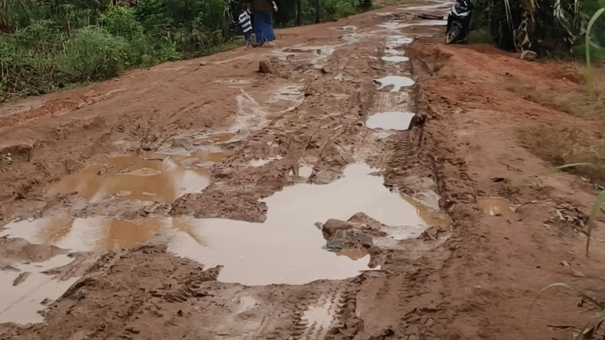 Jalan di Desa Banyu Abang, Kecamatan Teluk Batang, Kabupaten Kayong Utara. (ISTIMEWA)