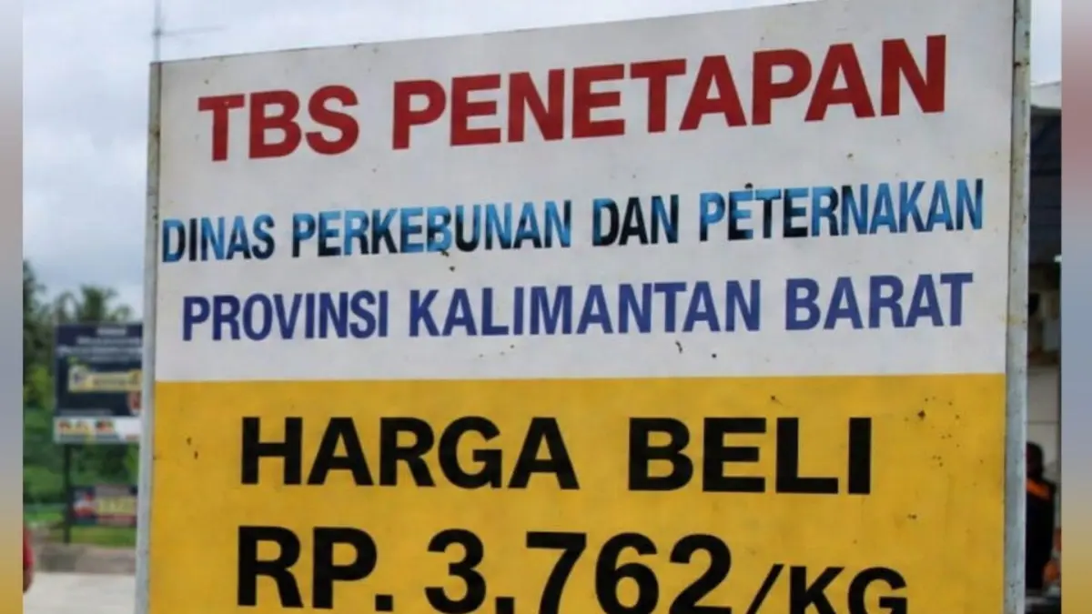 Papan pengumuman harga TBS dan nota pembelian petani yang menunjukkan adanya selisih harga.