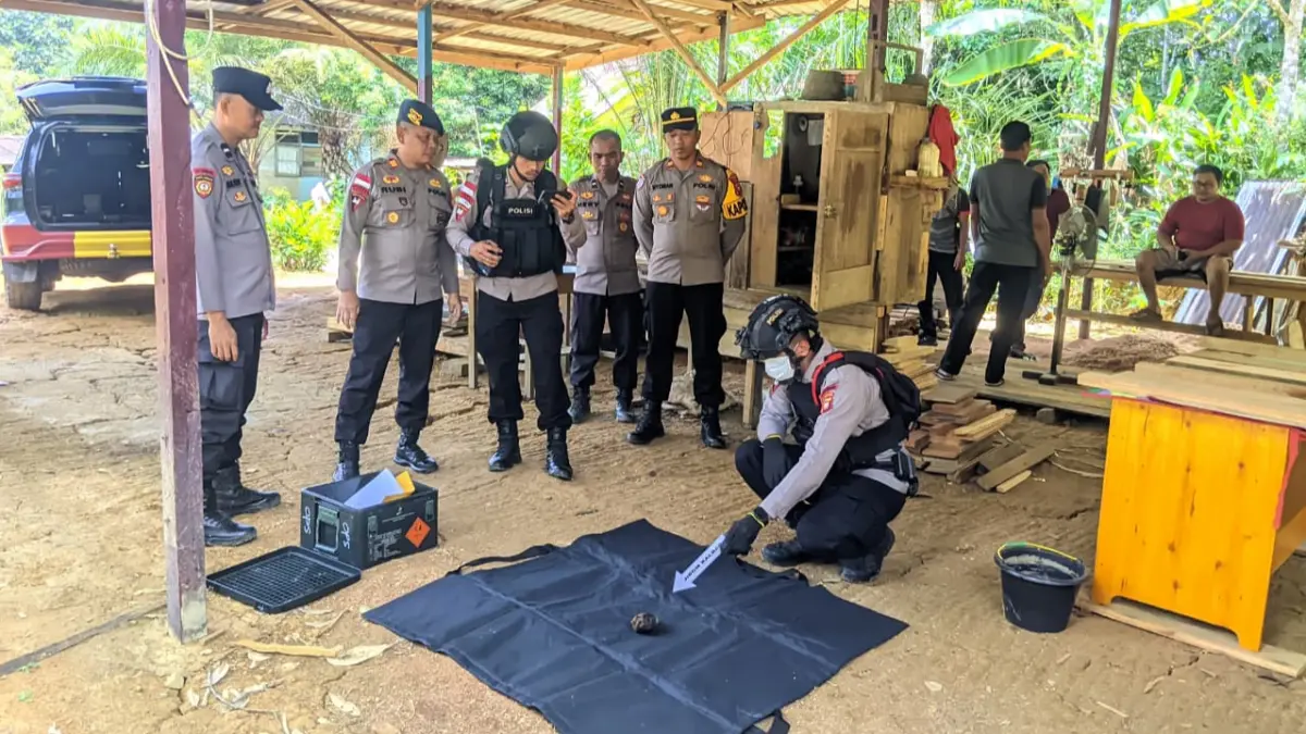 Tim Subden Jibom Detasemen Gegana Sat Brimob Polda Kalimantan Barat memusnahkan granat tangan temuan warga di Kebun Sawit di Kecamatan Menyuke Kabupaten Landak pada Kamis (30/4). (DOK POLSEK MENYUKE)