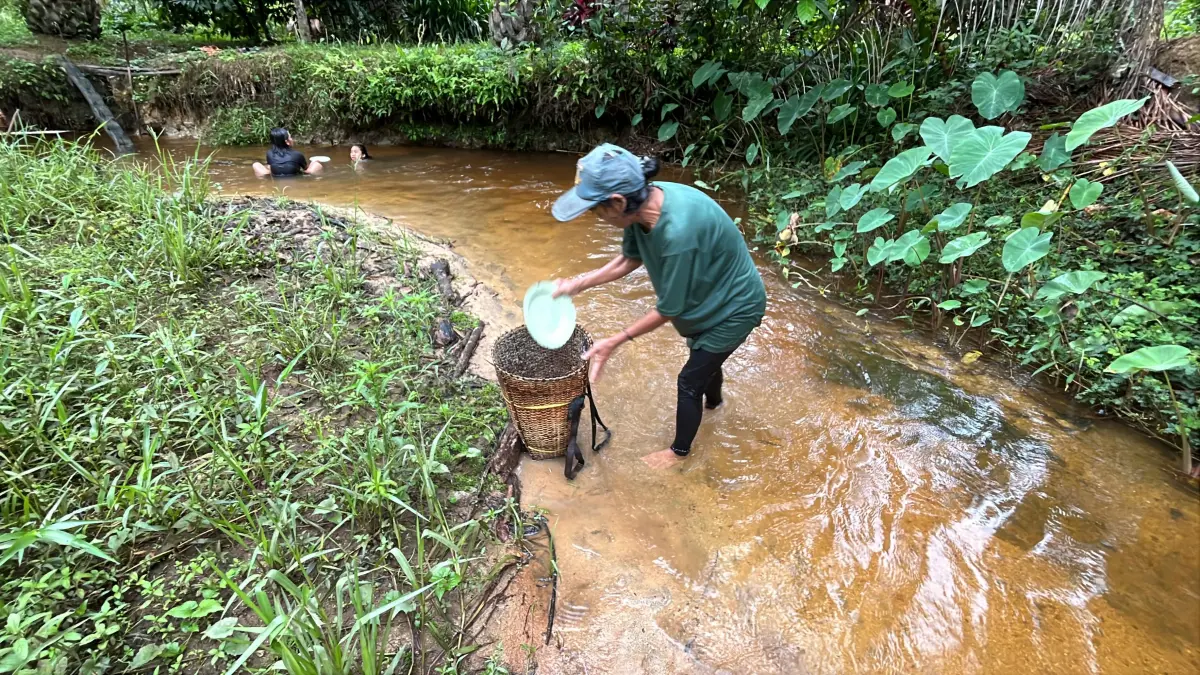 Warga Desa Sei Rambai Kecamatan Kembayan Kabupaten Sanggau mengangkut pasir menggunakan jarai, alat angkut tradisional untuk membantu Satgas TMMD perbaiki rumah salah seorang warga. (DOK KODIM SANGGAU)