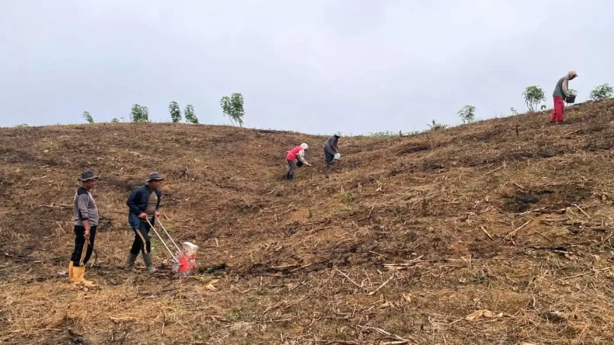 Personel Polsek beduai bersama warga menanam jagung hibrida di Dusun Timaga, Desa Thang Raya, Kecamatan Beduai, Kabupaten Sanggau, Senin (4/5). (ISTIMEWA)