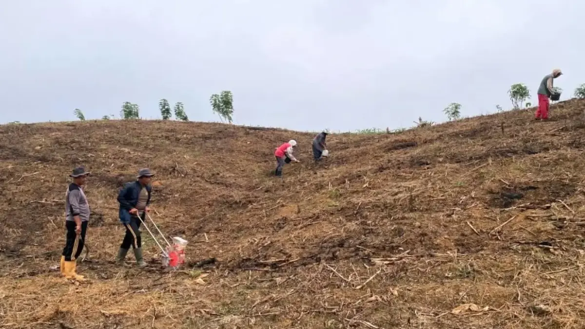 Personel Polsek beduai bersama warga menanam jagung hibrida di Dusun Timaga, Desa Thang Raya, Kecamatan Beduai, Kabupaten Sanggau, Senin (4/5). (ISTIMEWA)
