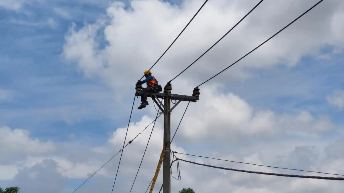 Salah satu personil PLN sedang melakukan pemeliharaan pada jaringan tegangan menengah. PLN menghimbau kepada seluruh masyarakat untuk menjaga jarak aman dengan tidak melakukan pembangunan dan tanam tumbuh dibawah atau sekitar jaringan PLN.