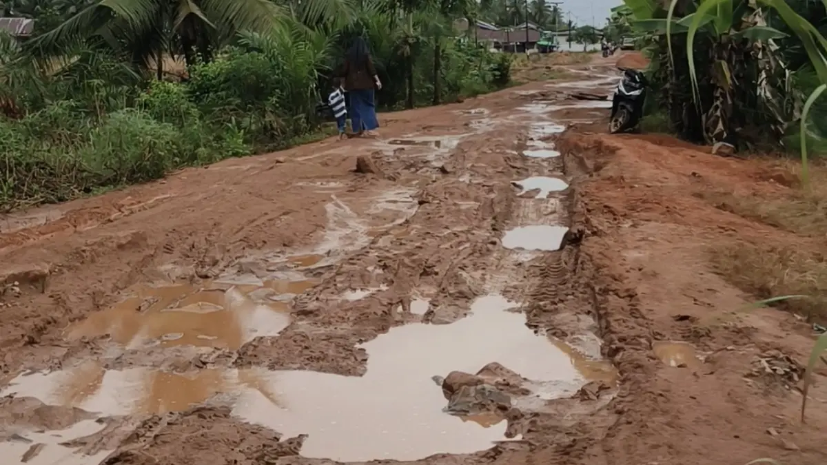 Salah satu ruas jalan di Kabupaten Kayong Utara mengalami kerusakan di Kecamatan Teluk Batang.  (ISTIMEWA)