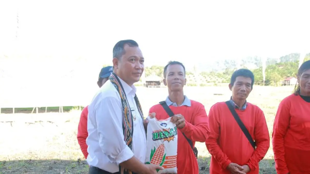 Bupati Bengkayang Sebastianus Darwis menyerahkan bantuan bibit jagung kepada petani di Bengkayang (ANTARA/Narwati)