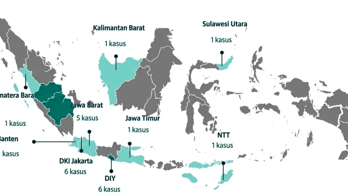 Peta persebaran Hantavirus di Indonesia. Kalimantan Barat menjadi satu dari 9 provinsi yang ditemukan pasien positif virus ini. (Sumber: Kemenkes RI)