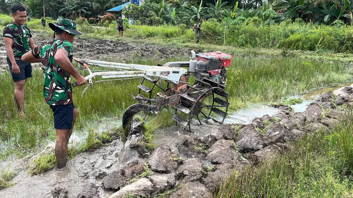 Satgas TMMD Ke-128 Kodim 1204/Sanggau menggunakan traktor untuk mempercepat pembajakan lahan sawah dalam program pembukaan lahan pertanian di wilayah sasaran.