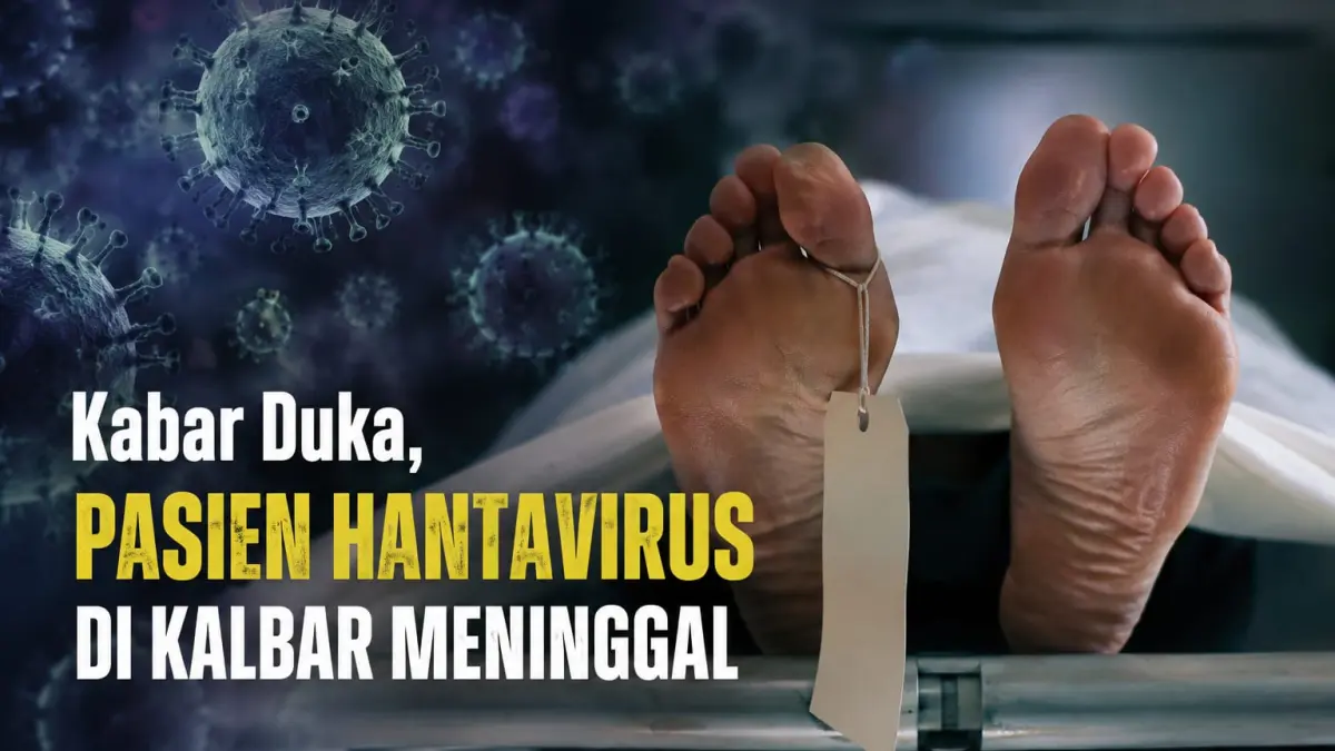 Ilustrasi kasus Hanta Virus di Kalbar meninggal dunia. (DOK PONTIANAK POST)