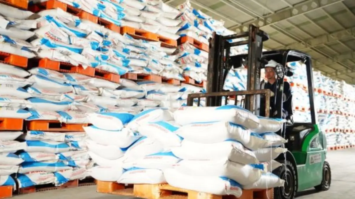 Petugas mengatur pupuk subsidi dengan kendaraan forklift di gudang pupuk Petrokimia Gresik, Jawa Timur. (Antara/HO/Petrokimia Gresik)