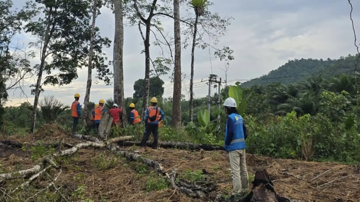 Tim PLN ULP Mempawah melakukan penebangan dan pembersihan pohon yang berpotensi mengganggu jaringan SUTM dalam kegiatan GROWS di Desa Semade dan Desa Tunang, untuk menjaga keandalan pasokan listrik, terutama saat terjadi hujan, angin kencang, atau cuaca ekstrem.