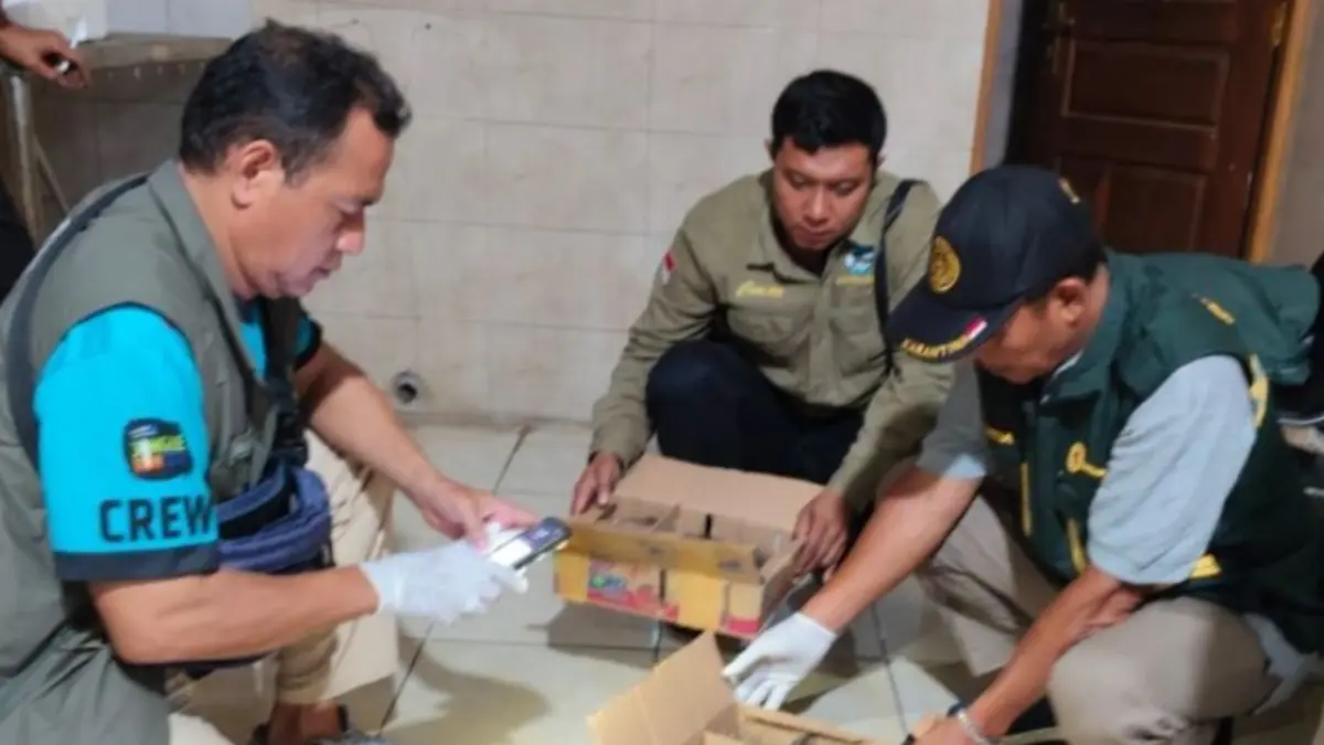 Balai Konservasi Sumber Daya Alam (BKSDA) Bali bersama tim gabungan di Pulau Dewata menggagalkan upaya penyelundupan 1.424 ekor burung tanpa dokumen di Pelabuhan Gilimanuk, Kabupaten Jembrana dan Pelabuhan Padangbai, Kabupaten Karangasem, Bali, Jumat (15/5). (ANTARA/HO-BKSDA Bali)