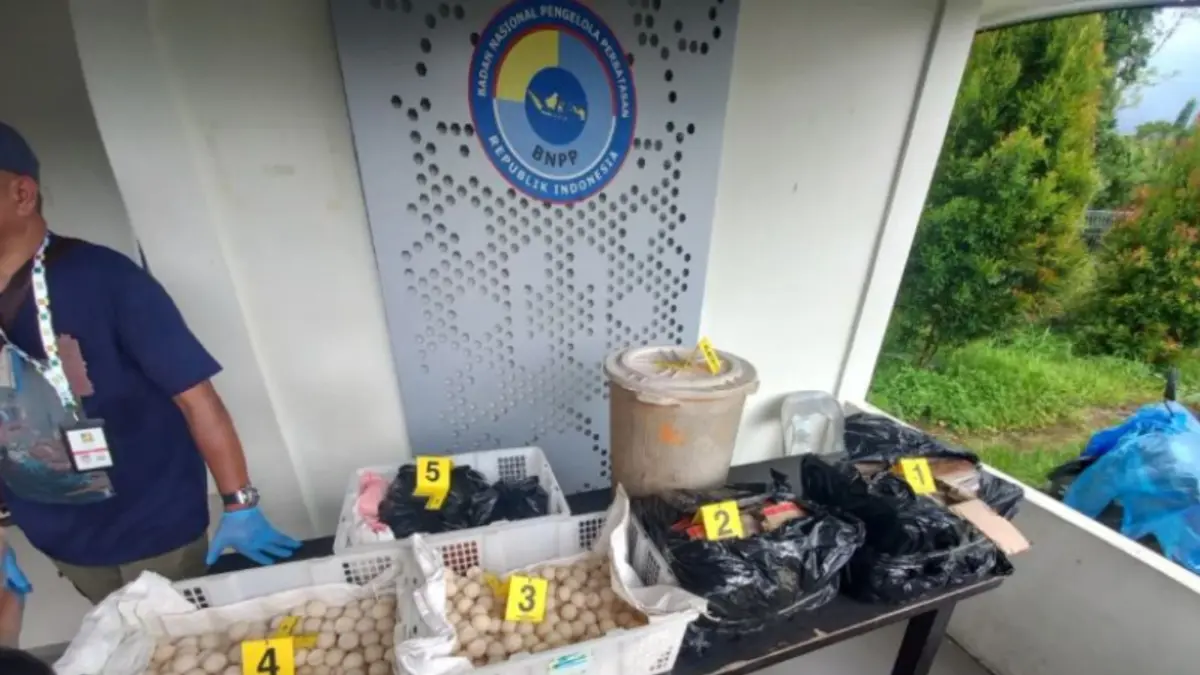 Barang bukti telur penyu yang di tangkap tim gabungan Pos Lintas Batas Negara (PLBN) Jagoi Babang, Sarawak Forestry Corporation (SFC) Malaysia, dan Satgas Perbatasan SSK II. (ANTARA/Narwati)