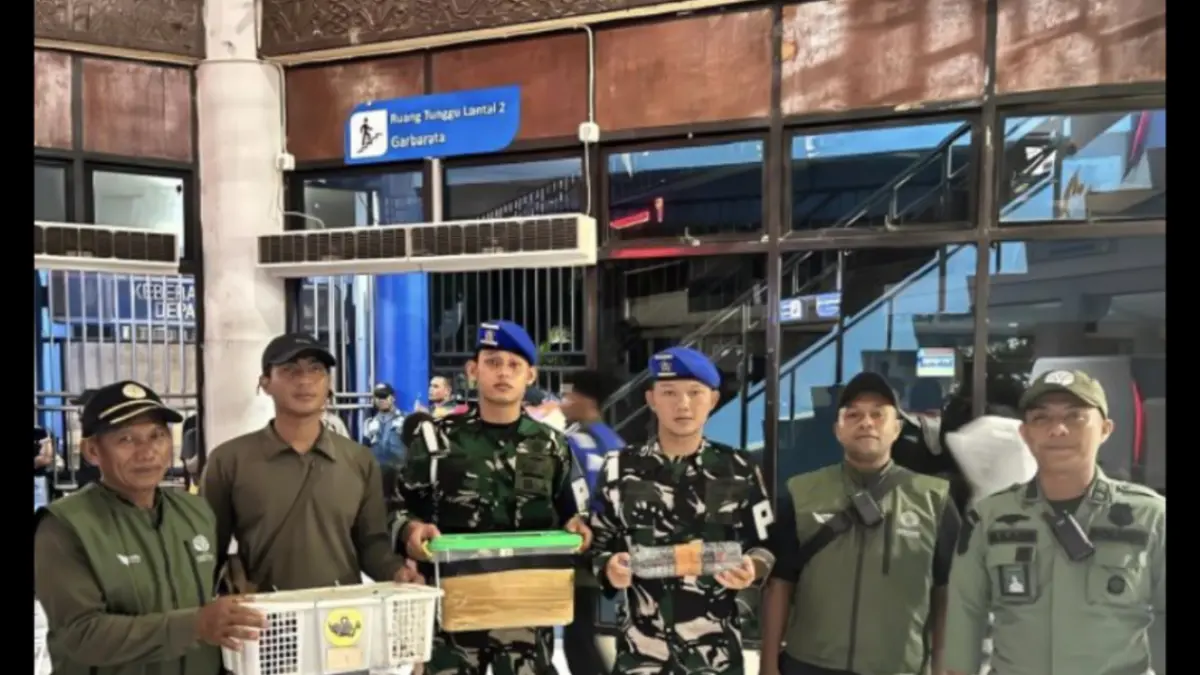 TNI AL dan BBKSDA Papua Barat Daya gagalkan penyelundupan delapan satwa dilindungi di Pelabuhan Sorong, Sabtu (16/5). (ANTARA/HO-TNI AL)