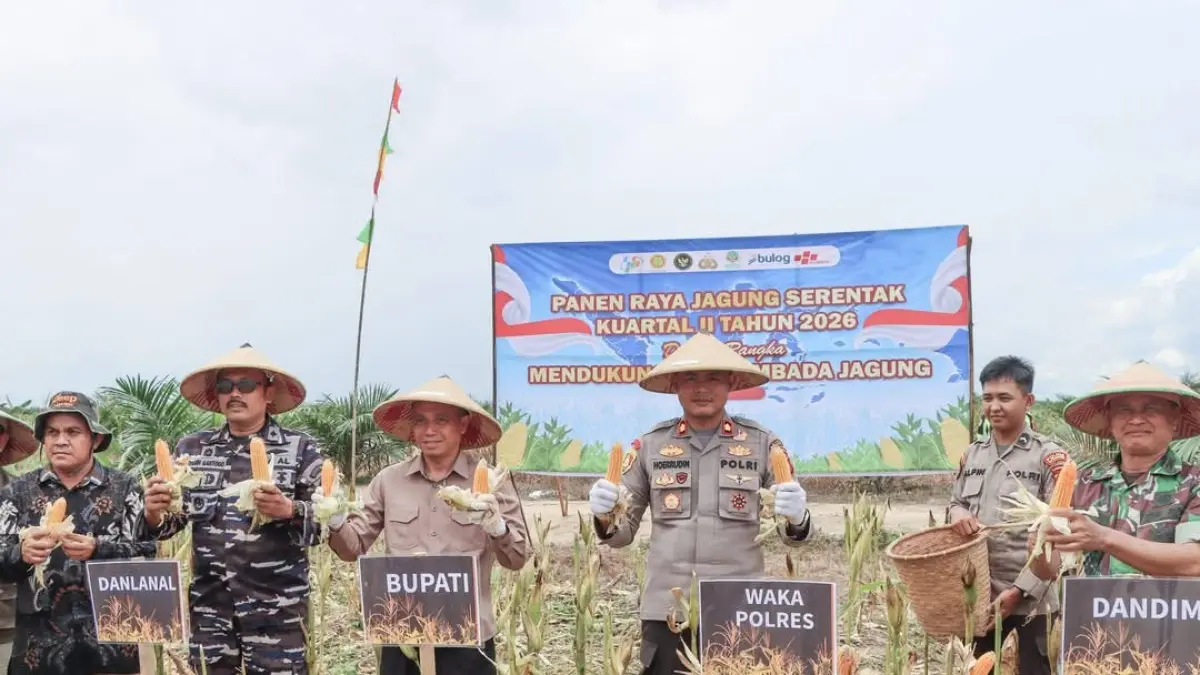 Sekda Ketapang, Repalianto, mengikuti panen raya jagung serentak, Sabtu (16/5).