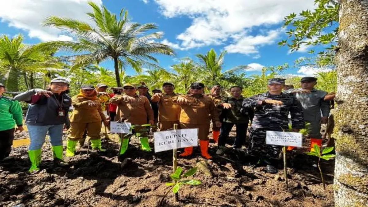 Bupati Kubu Raya Sujiwo memimpin penanaman mangrove di Desa Batu Ampar, Kecamatan Batu Ampar, Selasa (19/5). (PROKOPIM KKR)