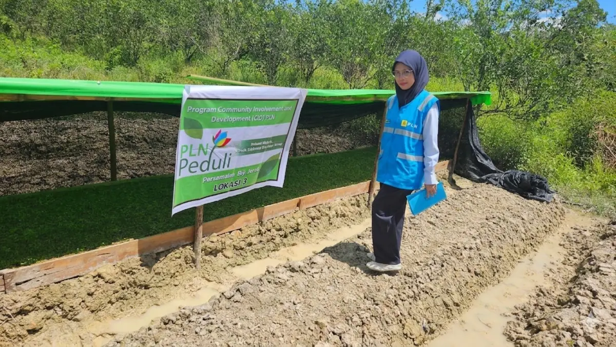 Petugas PLN UP3 Singkawang melakukan pemantauan terhadap salah satu tempat persemaian benih jeruk di Desa Sejiram dalam Program TJSL 2026: Petani Hebat, Jeruk Sejiram Berdaya Saing.
