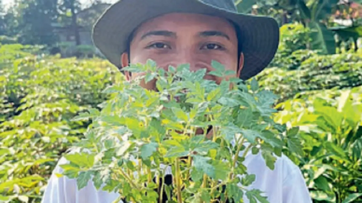 Tanaman cabai (DOK JAWAPOS)