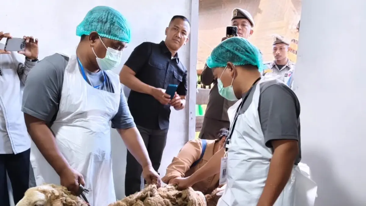 Proses penyembelihan Dam jemaah haji Kalbar di RPH Desa Mega Timur, Kubu Raya. (ISTIMEWA)