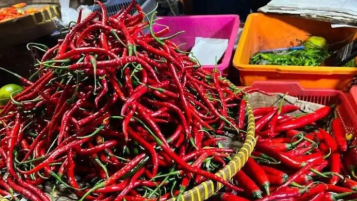 Komoditas cabai merah keriting dijual pedagang di Pasar Kebayoran Lama, Jakarta. ( ANTARA/Harianto)