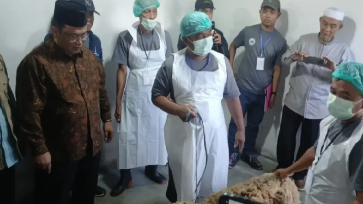 Wakil Bupati Kubu Raya Sukiryanto meninjau proses pemotongan hewan Dam Haji Tamattu’ Tahun 1447 Hijriah/2026 Masehi di RPH Desa Mega Timur, Kecamatan Sungai Ambawang.  (Prokopim Kubu Raya)