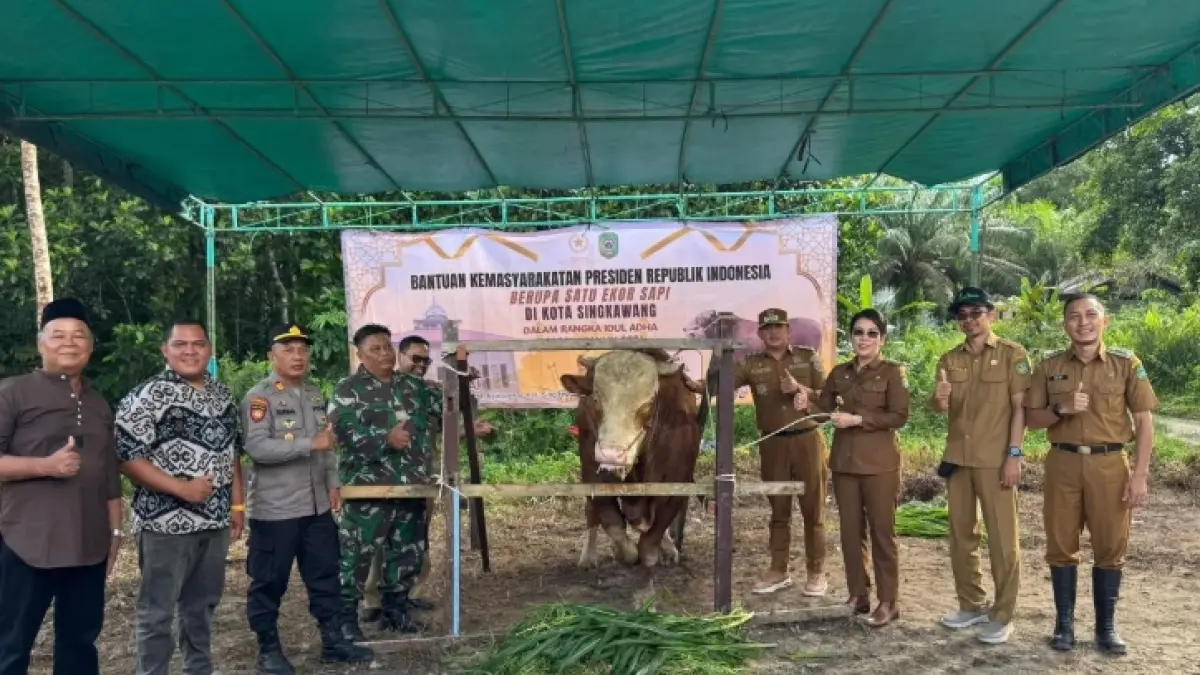 Wali Kota Singkawang Tjhai Chui Mie menyerahkan sapi kurban bantuan Presiden Prabowo Subianto kepada pengurus Masjid Al Fattah di Kelurahan Nyarumkop, Kecamatan Singkawang Timur, Selasa (26/5/2026).