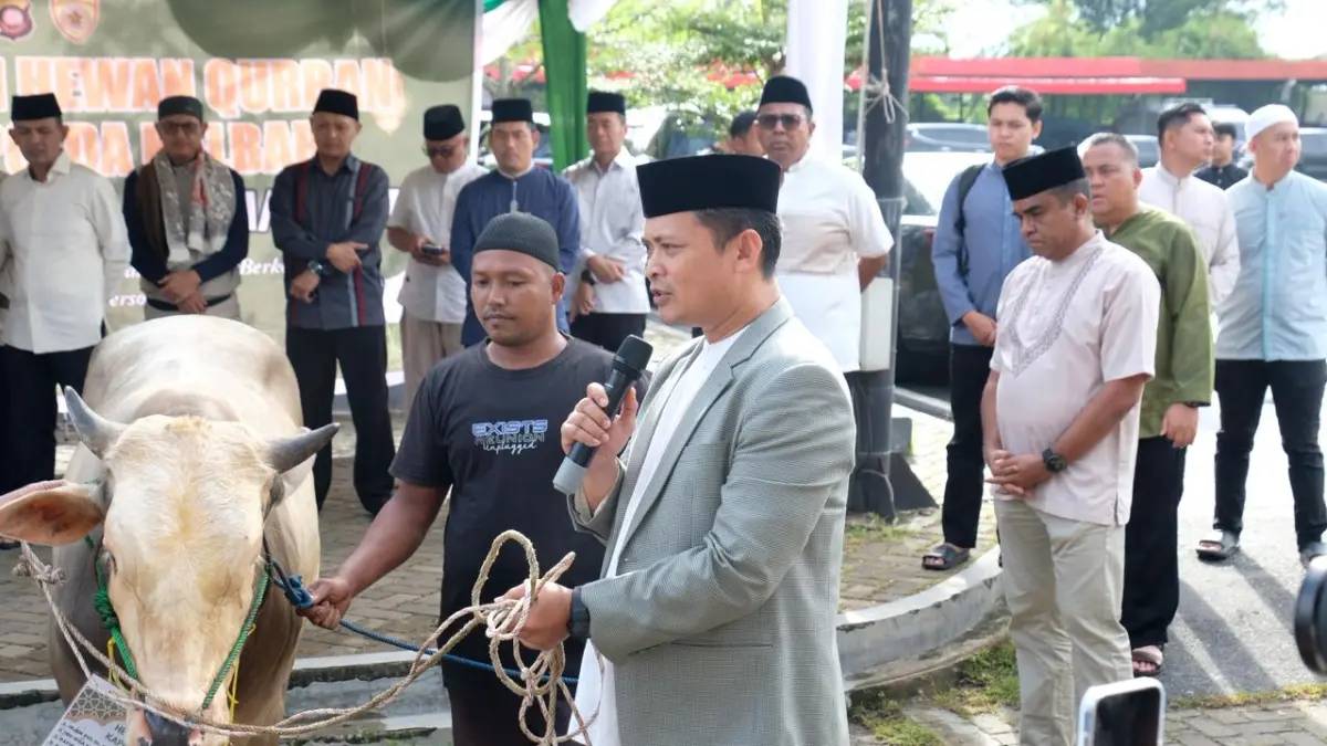 Simbolis hewan kurban berupa sapi dalam rangka Iduladha 1447 H di Mapolda Kalbar, Pontianak, Rabu (27/05/2026).