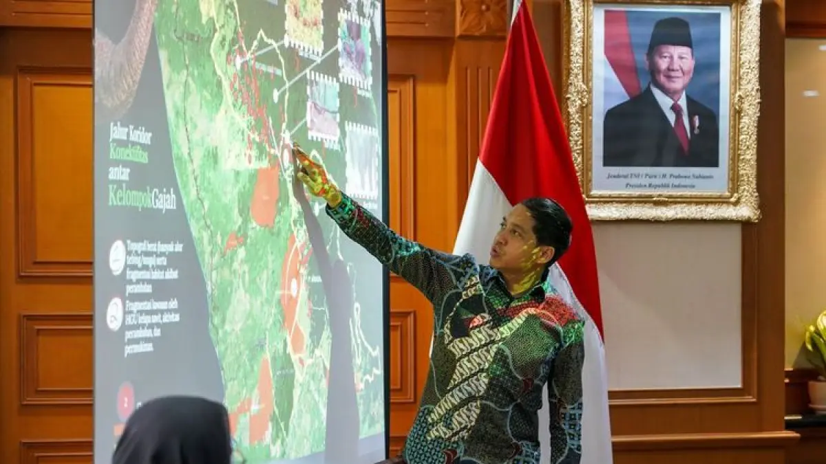 Menteri Kehutanan Raja Juli Antoni memaparkan kondisi menyusutnya habitat gajah di Indonesia saat bertemu aktivis lingkungan Kamis (7/5/2026) di Jakarta. Pemerintah menegaskan komitmen menyelamatkan 21 kantong habitat gajah yang tersisa melalui pembangunan koridor satwa dan perlindungan ruang jelajah gajah. (Foto Kemenhut)