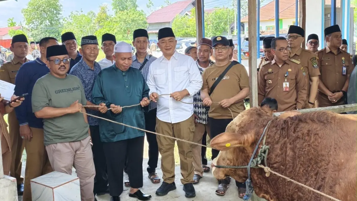 Bupati dan Wabup Ketapang menyalurkan hewan kurban ke sejumlah masjid di Ketapang. (ISTIMEWA)