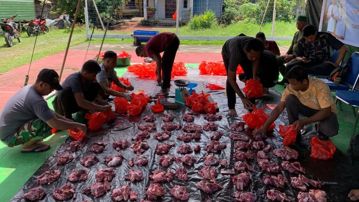 Daging hewan kurban yang siap dibagikan kepada masyarakat dan anggota Kodim 1206 Putussibau. (ISTIMEWA)