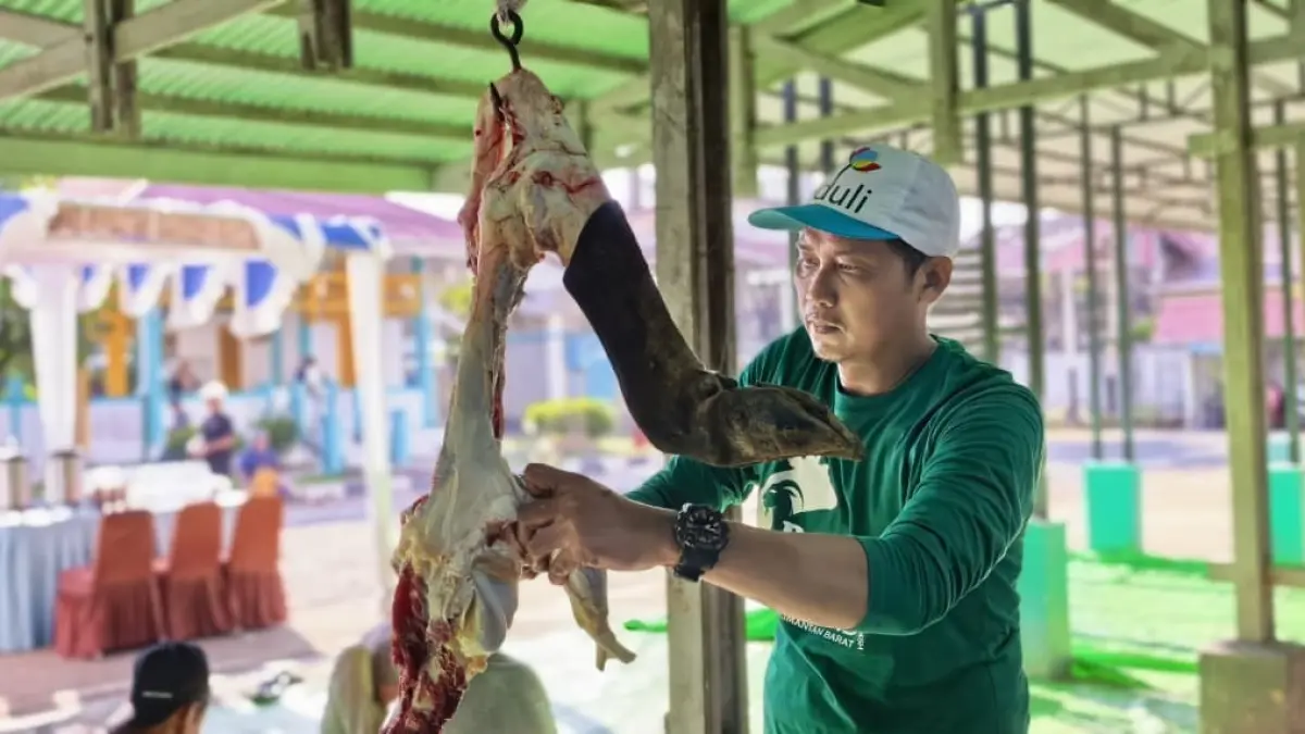 Panitia Kurban PLN UID Kalbar tengah melakukan proses pemotongan daging sapi kurban untuk disalurkan kepada masyarakat di sekitar kantor PLN sebagai wujud kepedulian sosial dan semangat berbagi di  Hari Raya Idul Adha 1447 Hijriah.