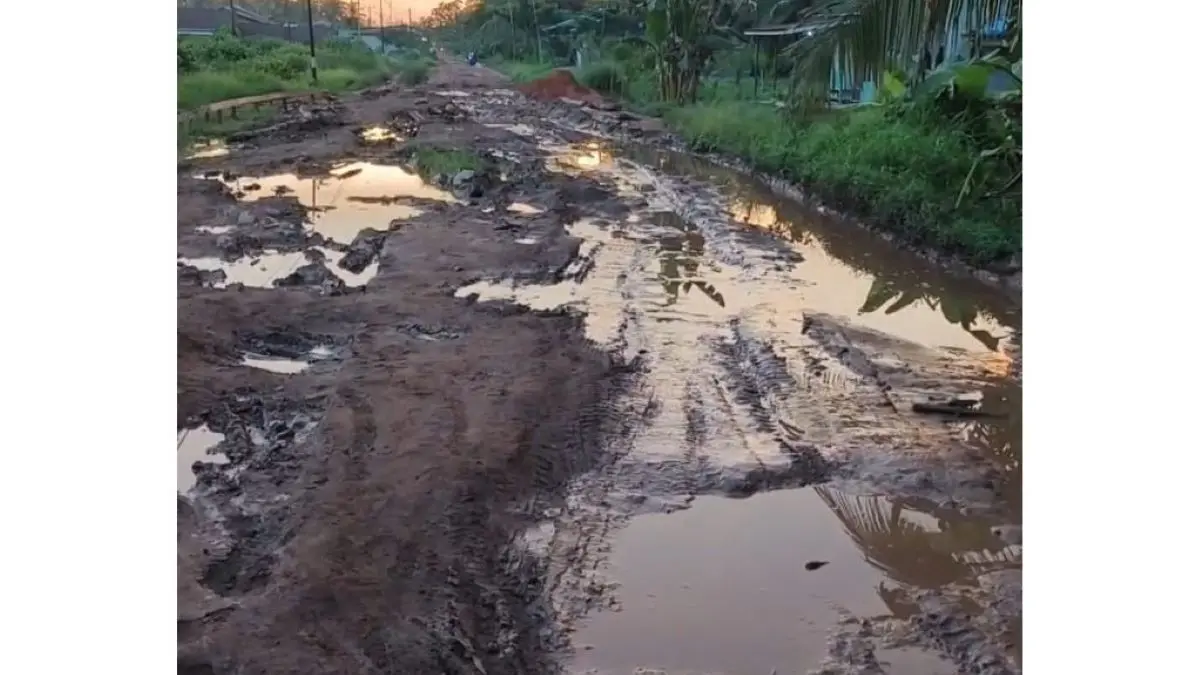 RUSAK PARAH: Kondisi jalan di Sukamaju, Kecamatan Teluk Batang, Kabupaten Kayong Utara mengalami kerusakan cukup parah. (Dok)