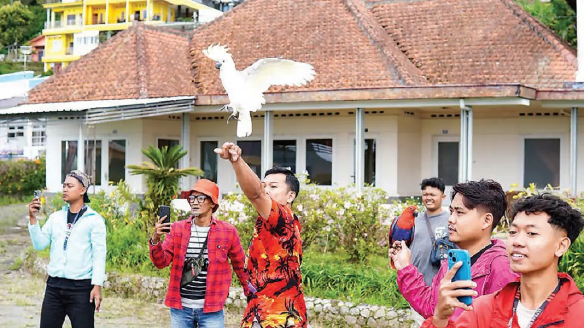 Agar jago  free fly,parrot harus dilatih sejak kecil secara bertahap. (DOK JAWAPOS)