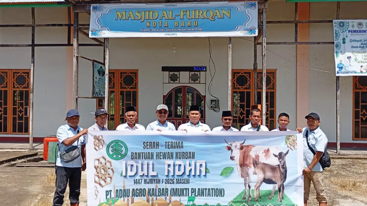 Mukti Plantation kembali menjalankan komitmen kepedulian sosialnya dengan turut menyebarkan kebaikan melalui kurban 5 ekor sapi bagi masyarakat pada wilayah operasionalnya di Kabupaten Ketapang dan Melawi.
