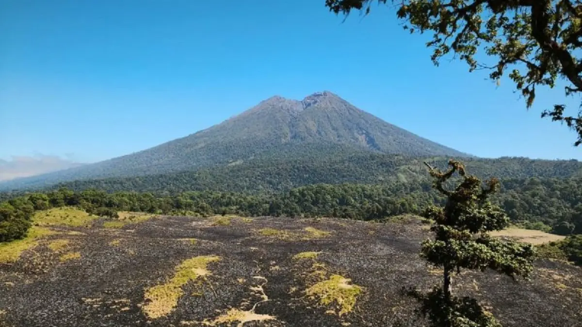 Sisa kebakaran di Savana Propok Taman Nasional Gunung Rinjani (TNGR) Kecamatan Sembalun, Kabupaten Lombok Timur, Nusa Tenggara Barat (NTB) setelah berhasil dipadamkan, Rabu (3/6). (ANTARA/HO-BPBD NTB).