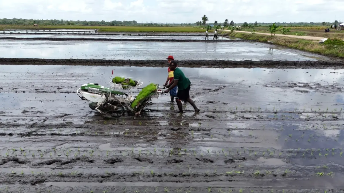 Petani menggunakan mesin tanam padi saat mengolah sawah dalam upaya mendukung peningkatan produksi pangan nasional.