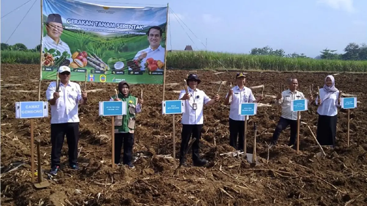 Tanam Serentak Komoditas Tebu di Kec. Gembong Kab. Pati Oleh BPTP Pontianak sebagai PJ Kab Pati Bersama Instansi wilayah setempat, Rabu (3/6/2026).