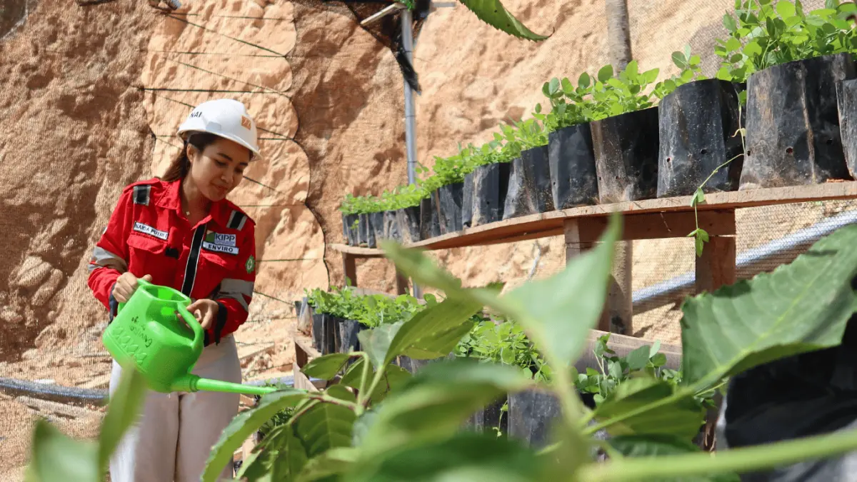 PENGHIJAUAN: Penghijauan kawasan proyek dilakukan dalam rangka memperingati Hari Lingkungan Hidup Sedunia 2026. KIPP menanam berbagai jenis pohon sebagai bagian dari program revegetasi dan pembangunan industri berkelanjutan. (Foto: KIPP for Pontianak Post)