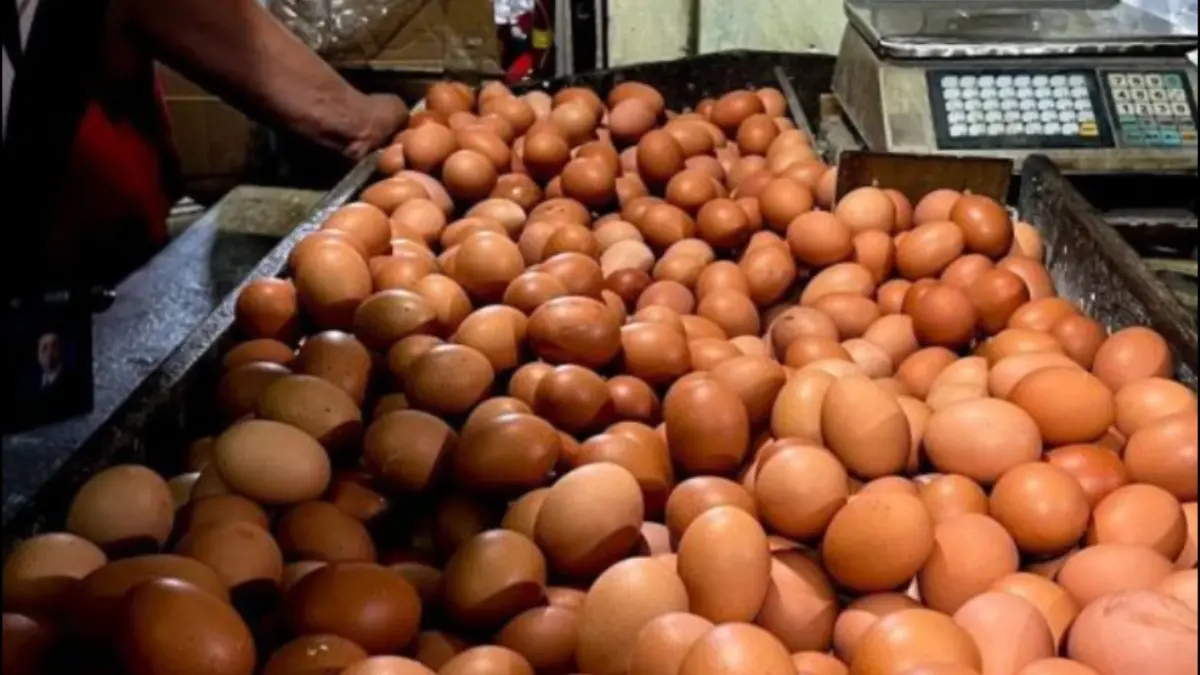 Arsip foto - Komoditas telur ayam ras yang dijual pedagang di Pasar Grogol Jakarta. (ANTARA/Harianto)