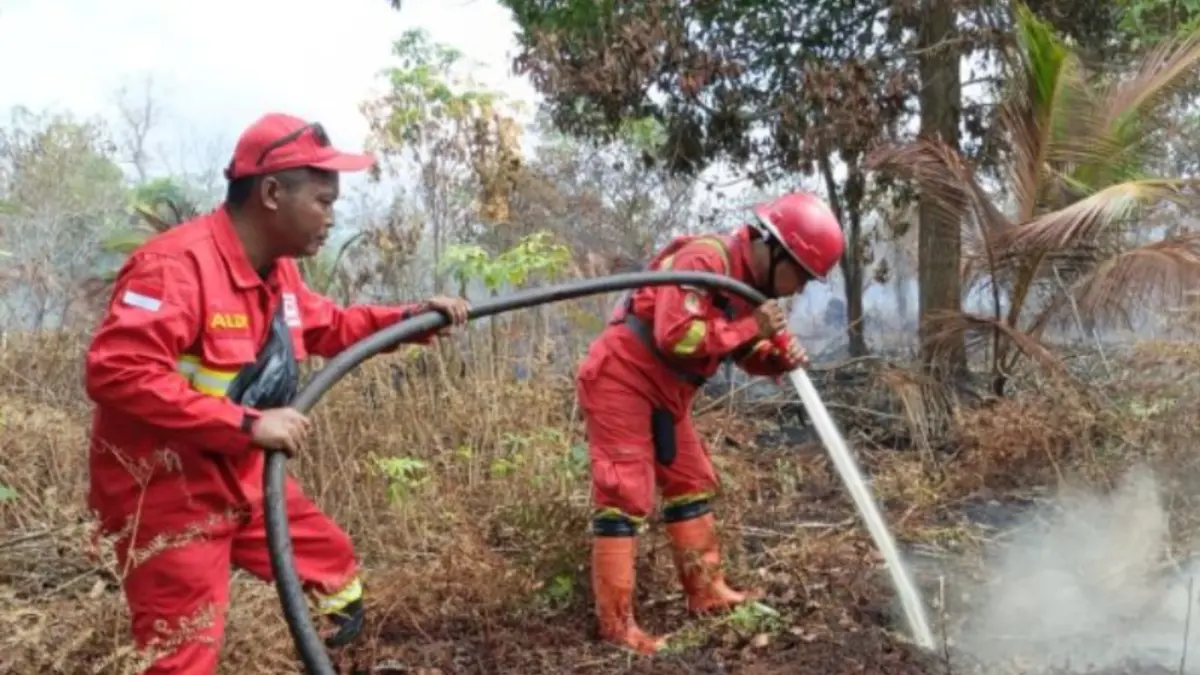 Tim Manggala Agni Daerah Operasi Rengat ketika melakukan pemadaman di Pulau Mendol, Kabupaten Pelalawan, Riau. (ANTARA/HO-Manggala Agni)

